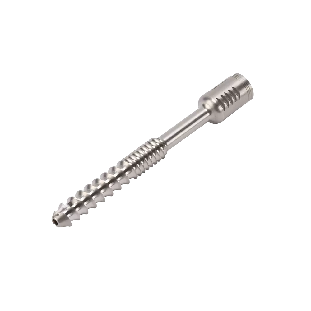 MYD 医療用ボーンネイル OD9*70MM 11.12g